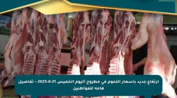 ارتفاع جديد بأسعار اللحوم في مطروح اليوم الخميس 21-8-2025 – تفاصيل هامة للمواطنين